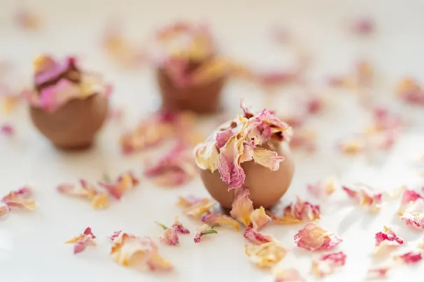 Casino Sun Palace Application Android/iOS